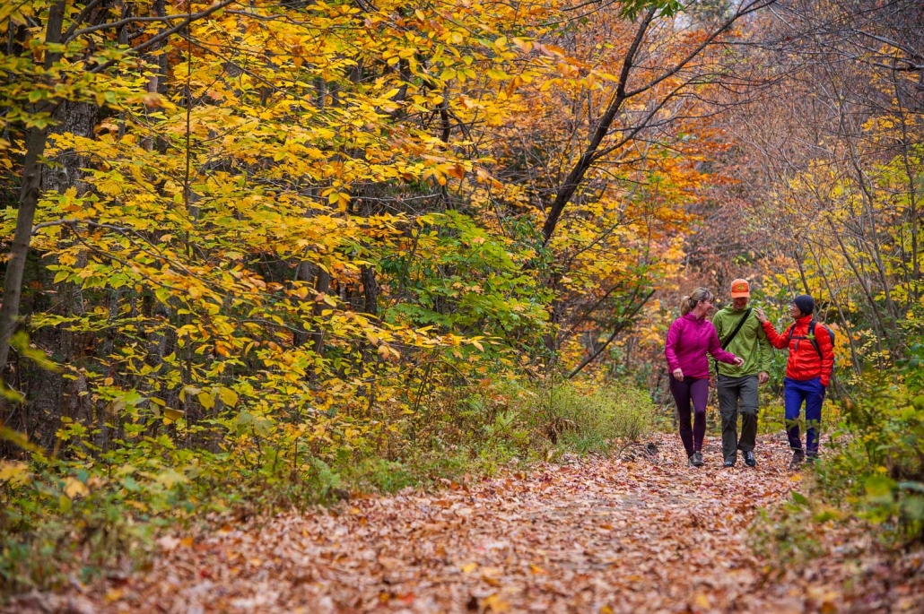 20131006-20131006-_ADP5543